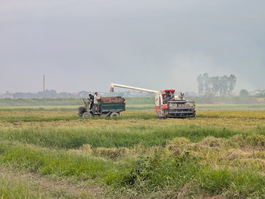 Setores do agro para os EUA com retomada nas vendas após decisão da Suprema Corte