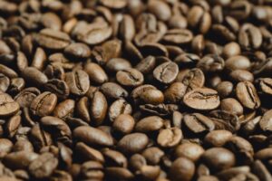 café robusta amazônico