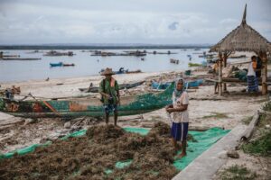 Programa Peixe Popular no Amapá