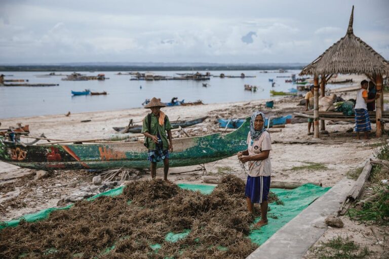 Programa Peixe Popular no Amapá