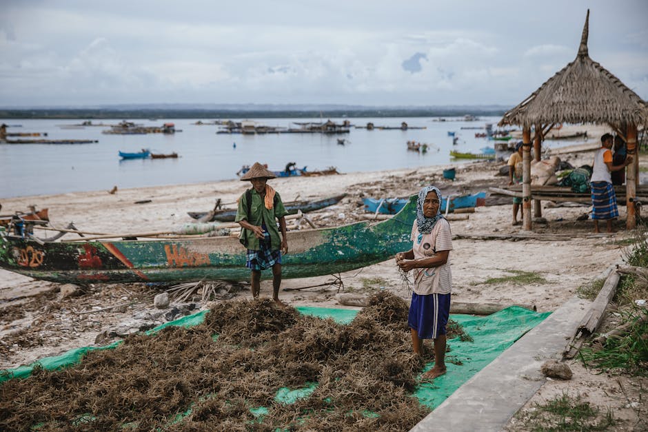 Programa Peixe Popular no Amapá