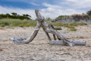 Erosão na praia do Murubira
