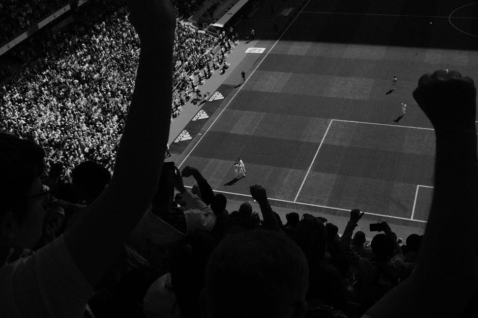 Palmeiras contra Novorizontino