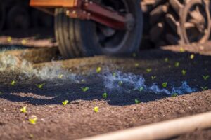 Areia e casca de arroz para pepino