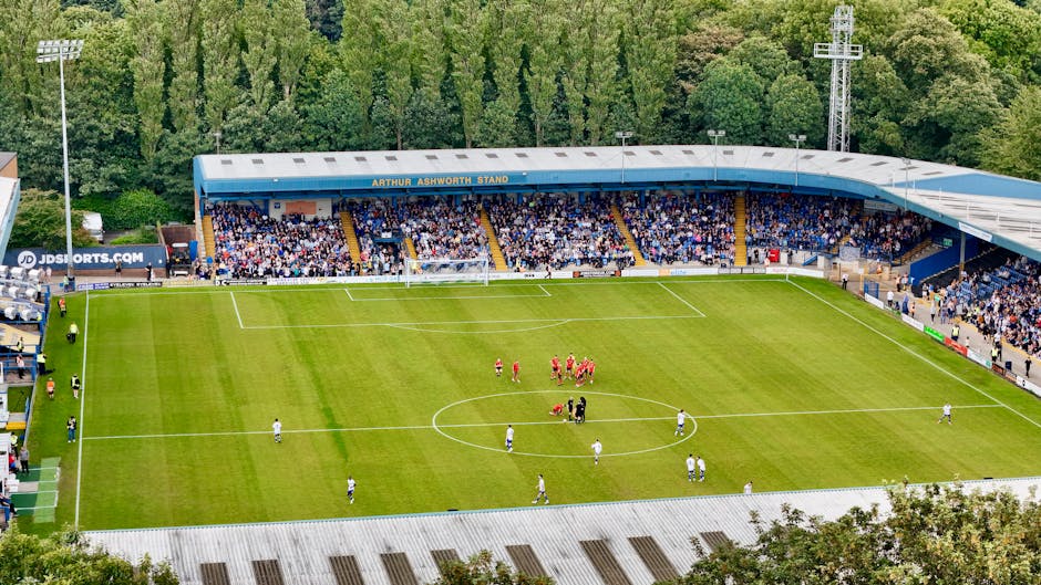 Allianz Parque gramado em instalação