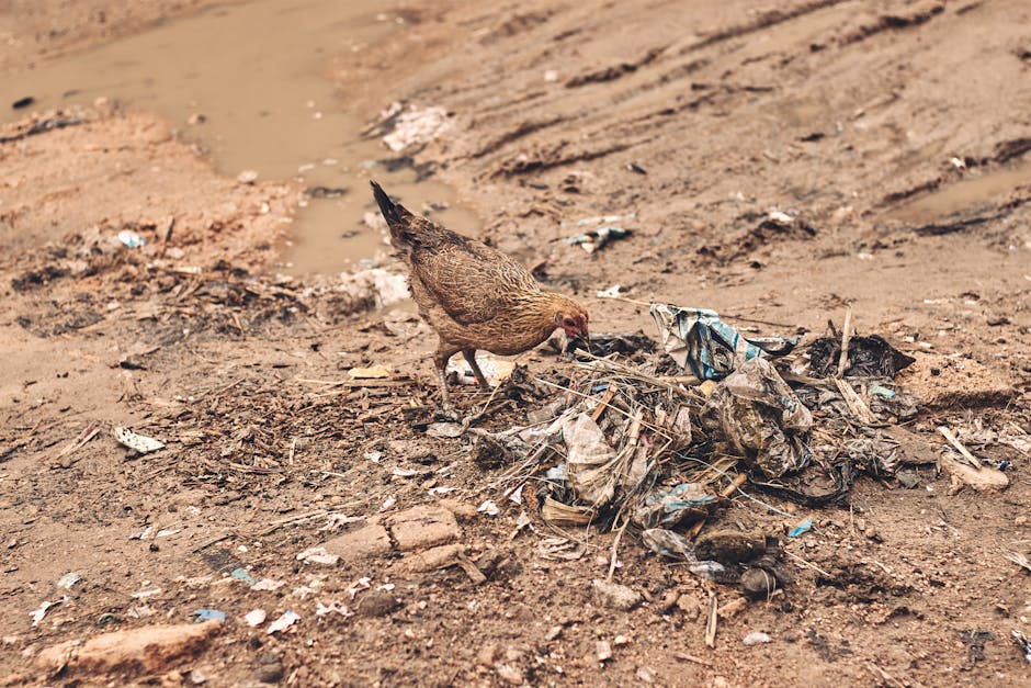 impacto do lixo em animais do Rio Pinheiros