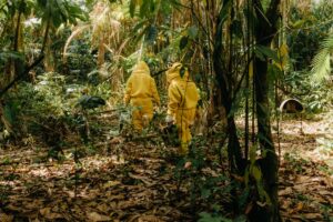 Amazônia Que Eu Quero evento