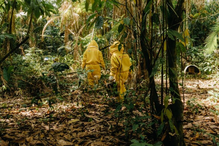 Amazônia Que Eu Quero evento