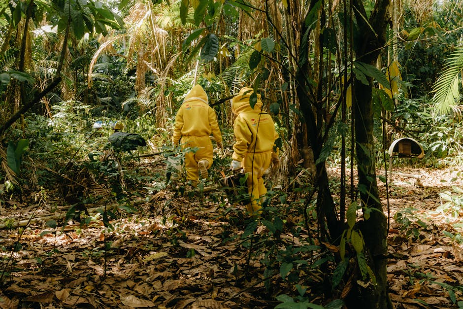 Amazônia Que Eu Quero evento