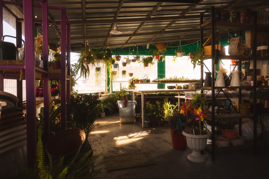 bola biodegradável cura terras danificadas