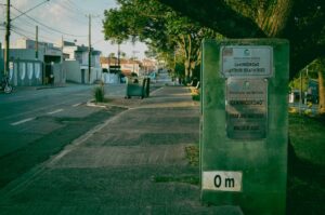 capivara em Imperatriz