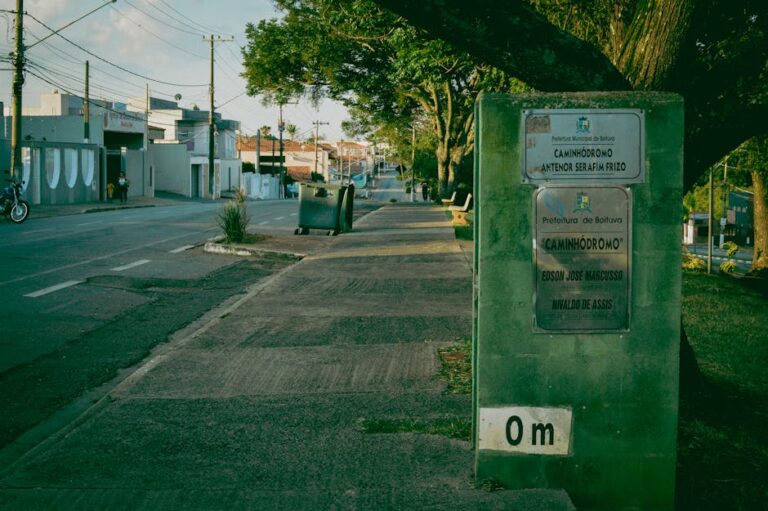 capivara em Imperatriz
