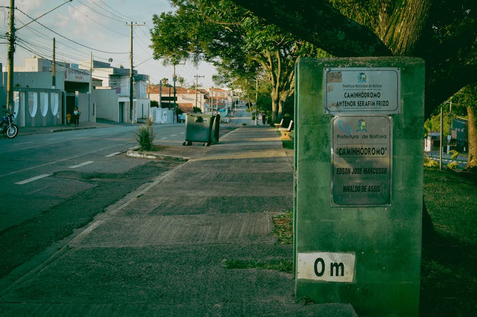 capivara em Imperatriz
