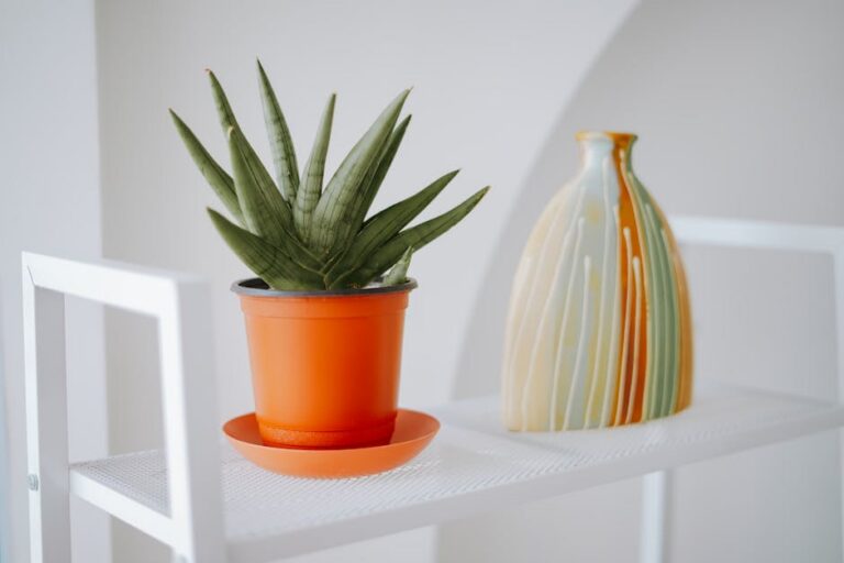 Jardins de museus no Brasil