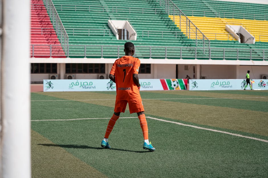 Botafogo busca goleiro