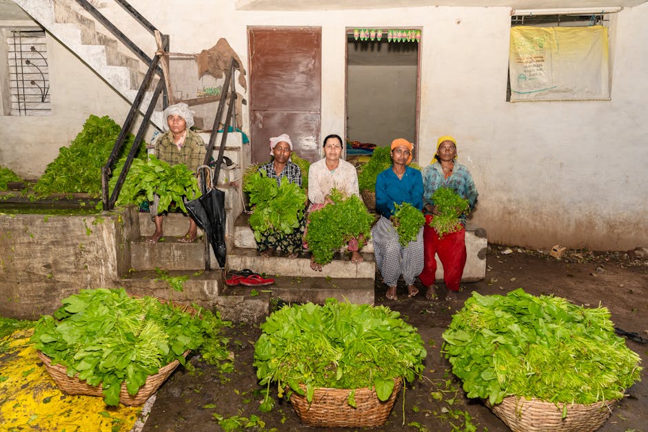 Proteção a produtores nacionais