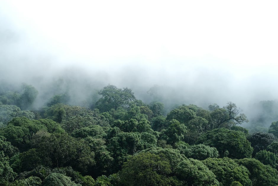 Amazônia Que Eu Quero evento sobre democracia e tecnologia