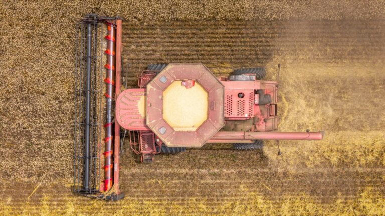 Máquina de debulhar feijão