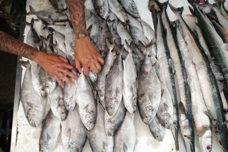 preço do peixe João Pessoa