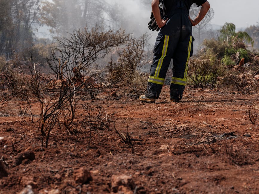 ônibus incendiado em Osasco