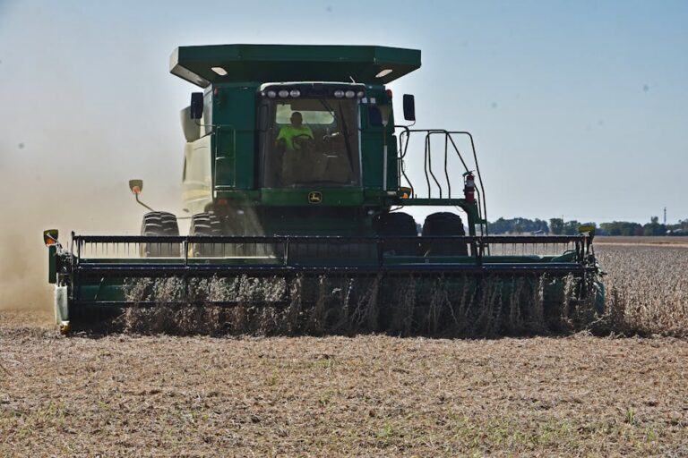 China devolveu cargas de soja