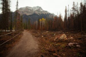 trilhas em Nova Lima