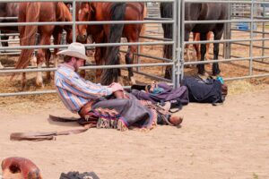 Marshals Yellowstone spinoff