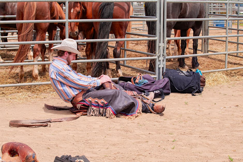 Marshals Yellowstone spinoff