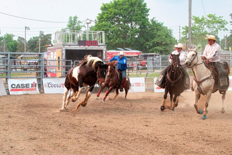 Ana Castela monta em cavalo