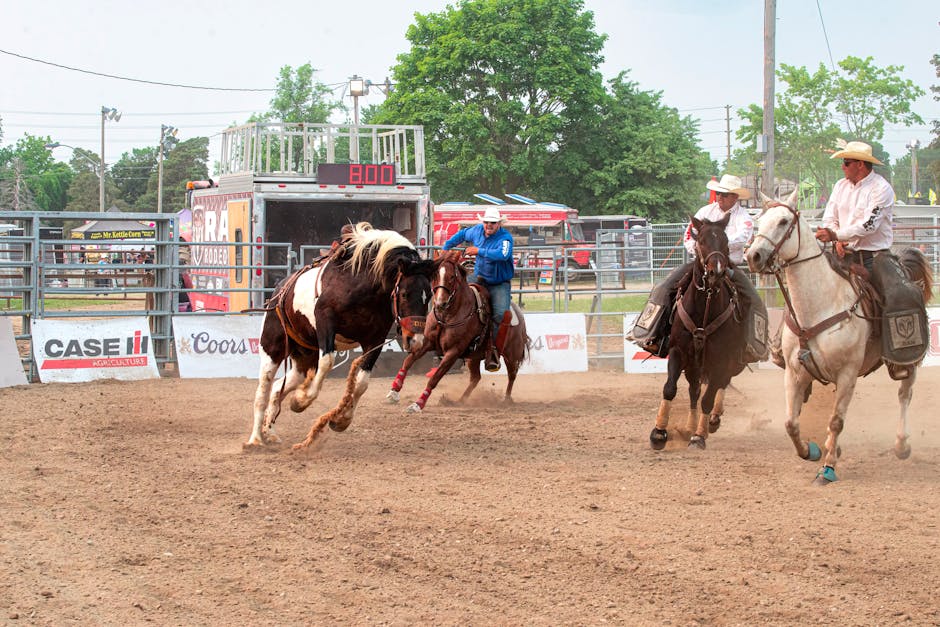 Ana Castela monta em cavalo