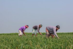 reforma agrária João Pessoa
