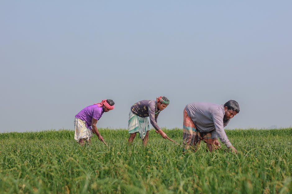 reforma agrária João Pessoa