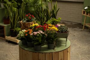 Estufa modular amarela sobre rodas em Braga