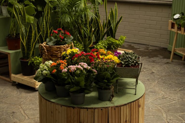 Estufa modular amarela sobre rodas em Braga