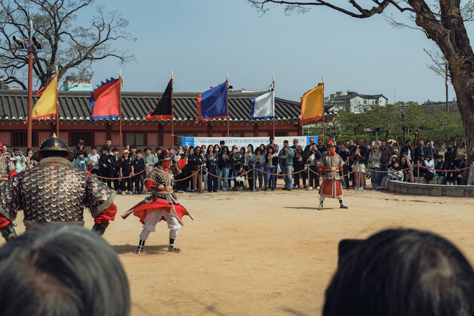 ILLIT Magnetic visualizações