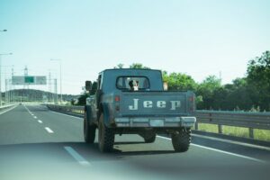 Cachorro arrastado por caminhonete em Redenção