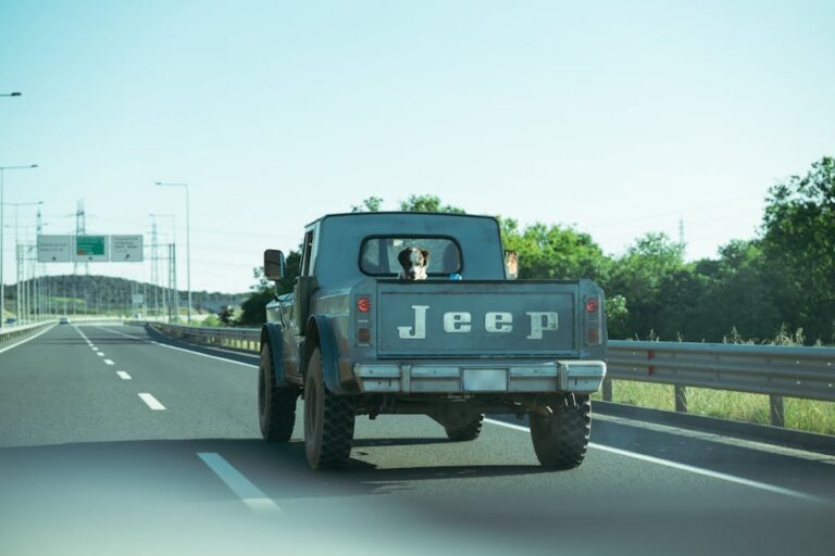 Cachorro arrastado por caminhonete em Redenção