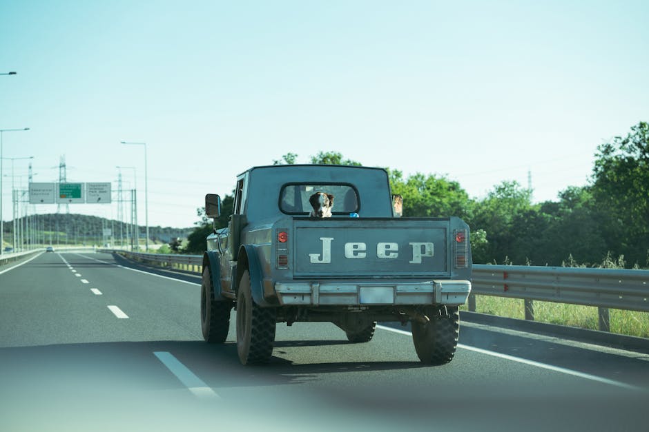 Cachorro arrastado por caminhonete em Redenção
