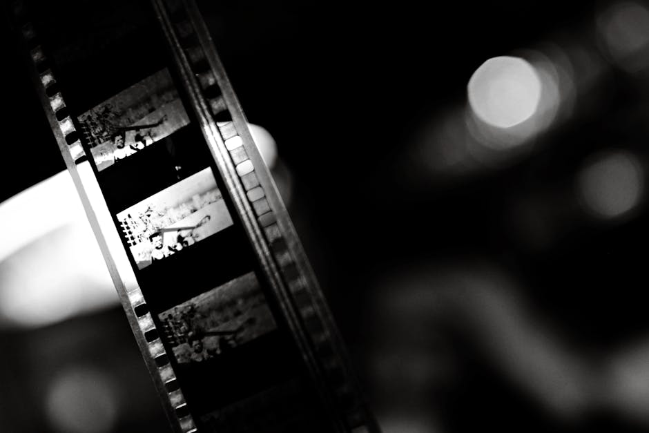 Catch Me If You Can filme de Spielberg