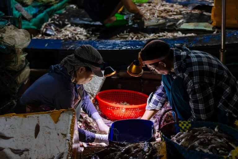 Terminal Pesqueiro de Aracaju