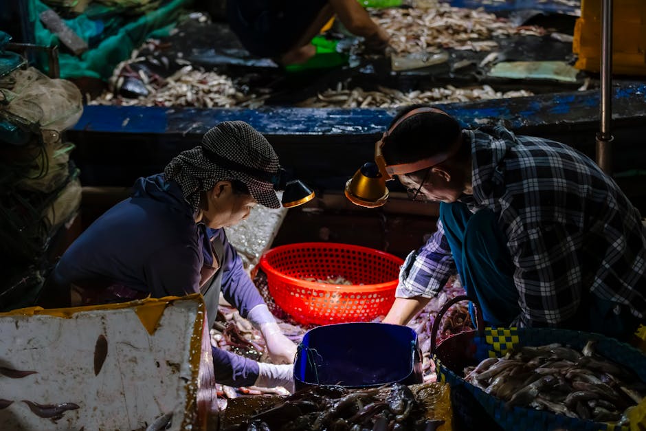 Terminal Pesqueiro de Aracaju