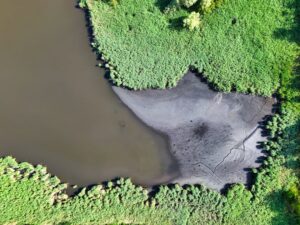 Bioparque Pantanal referência mundial