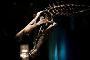 documentário sobre dinossauros