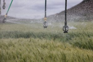 fertilizantes Brasil Irã