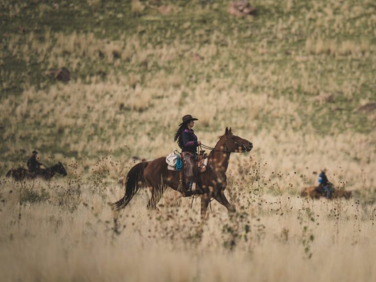 Kayce Dutton spinoff