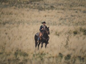 Marshals e Yellowstone