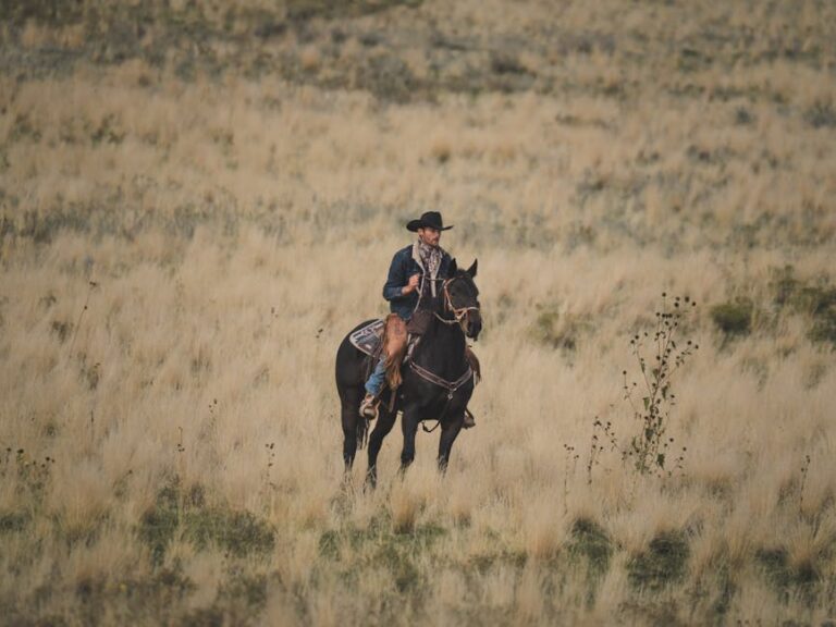 Marshals e Yellowstone