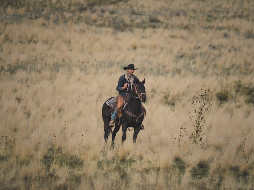 Marshals e Yellowstone