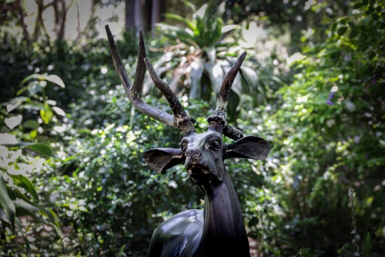Esculturas gigantescas de animais em linhas de transmissão