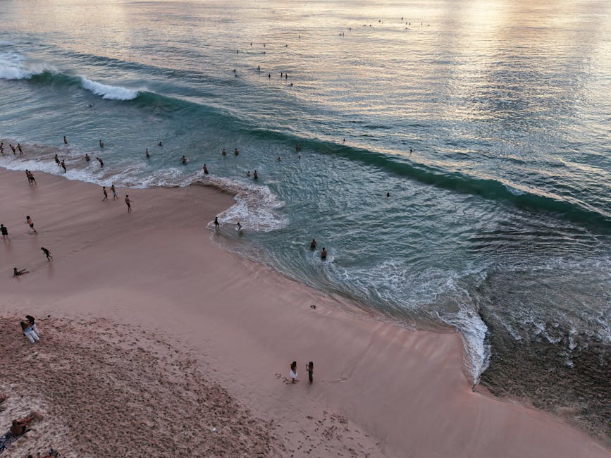 Análise da água da praia Ponta Branca em Manaus